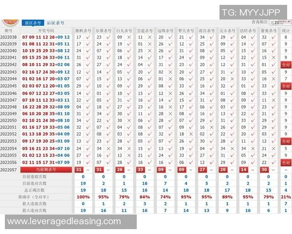 双色球杀号360深度解析助你精准选号提升中奖概率