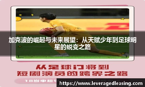 BG大游手机下载